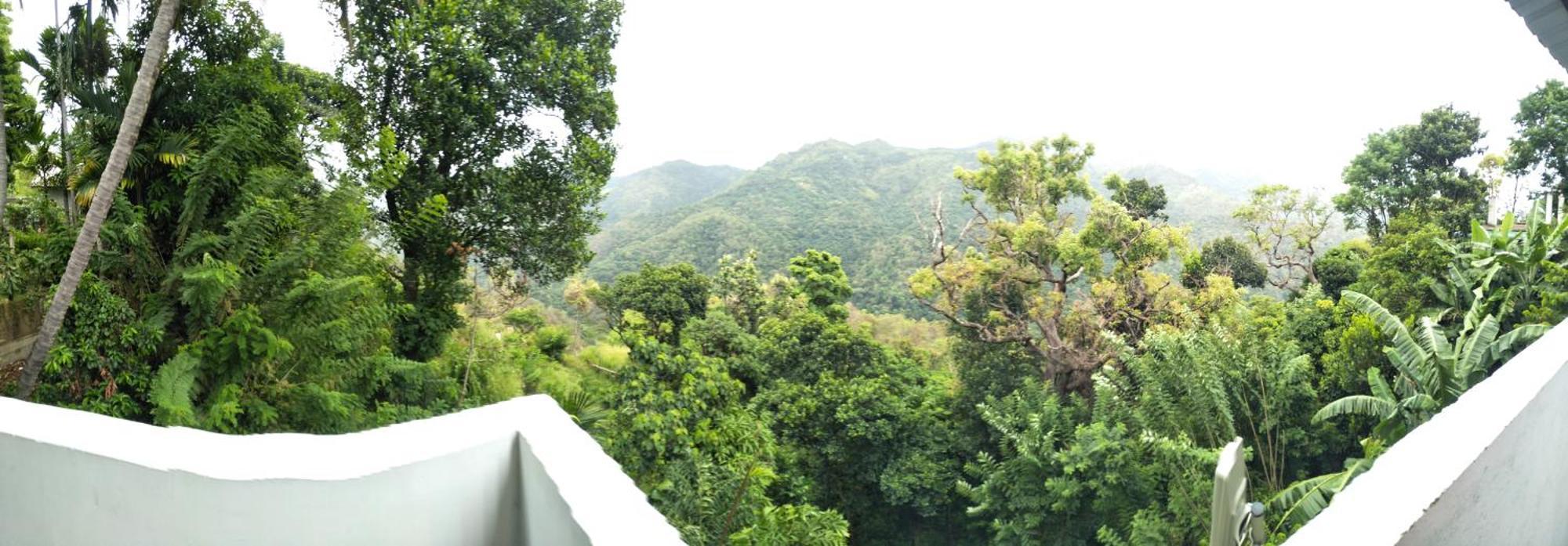 Green Cage Hotel & Restaurant إيلا المظهر الخارجي الصورة