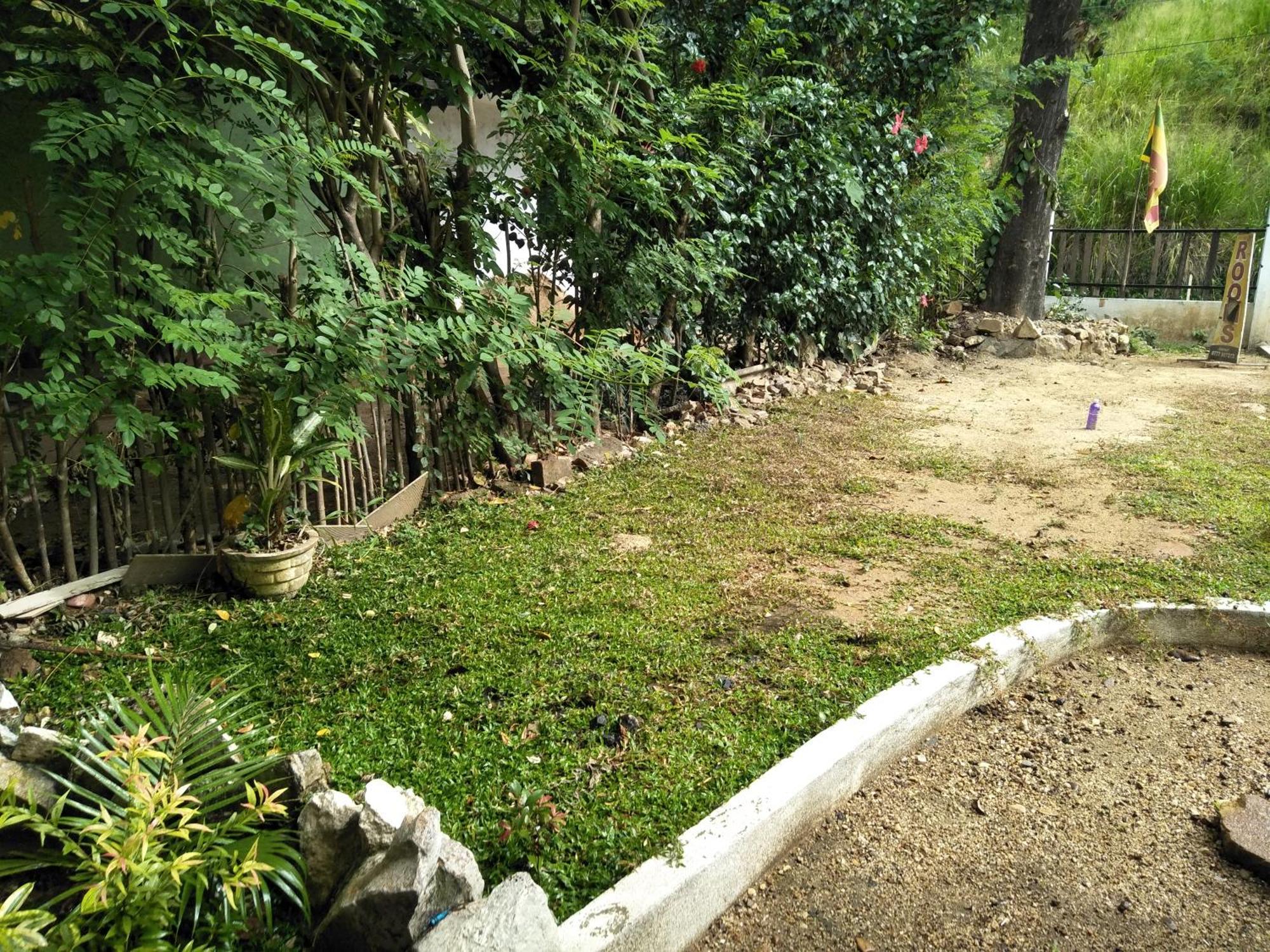 Green Cage Hotel & Restaurant إيلا المظهر الخارجي الصورة